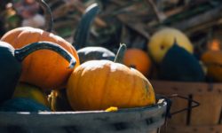 Fêter les Récoltes et la Nature autrement