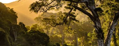 5 avril 2020 : un jour…