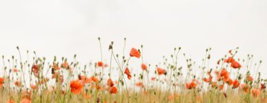 31 mars 2020 : un jour…