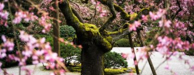 24 mars 2020 : un jour…