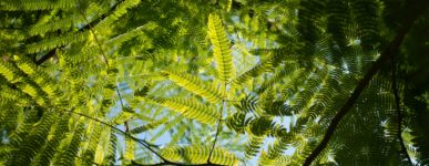 29 mars 2020 : un jour…