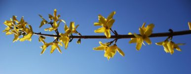 19 mars 2020 : un jour…