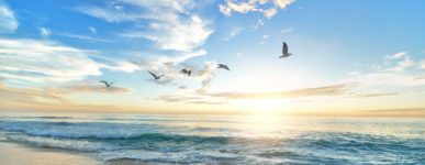 Réflexions et recommandations par rapport au coronavirus