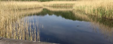 17 avril 2020 : un jour…