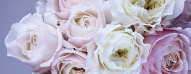 19 avril 2020 : un jour…