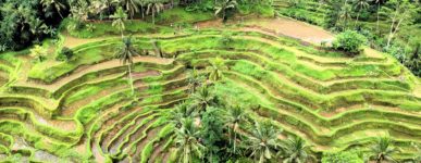 4 avril 2020 : un jour…