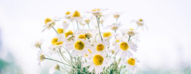 10 avril 2020 : un jour…