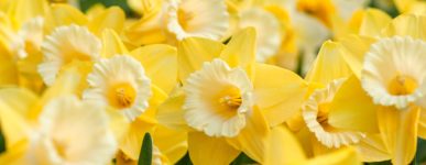 8 avril 2020 : un jour…