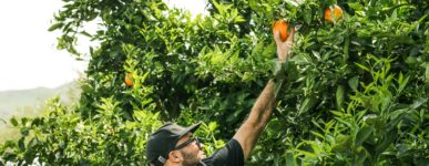 Plaidoyer en faveur d’une transformation écologique, solidaire et démocratique