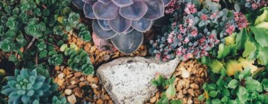 15 mai 2020 : un jour&#8230;