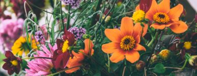 14 mai 2020 : un jour&#8230;