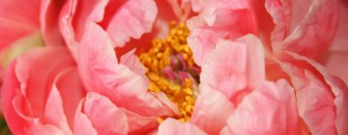 30 mai 2020 : un jour&#8230;