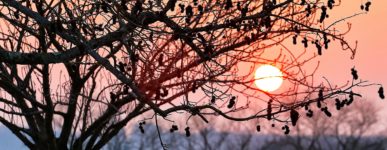 25 mai 2020 : un jour&#8230;