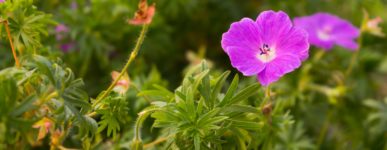 16 mai 2020 : un jour&#8230;