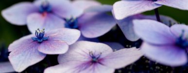 24 mai 2020 : un jour&#8230;