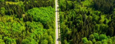 17 mai 2020 : un jour&#8230;