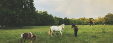 23 mai 2020 : un jour&#8230;