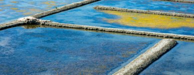 11 mai 2020 : un jour&#8230;