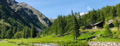 29 mai 2020 : un jour…
