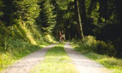 Séjour « Jeûne, prière et marche »