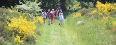 Parenthèses de Carême 2021