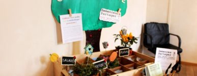 Appel aux dons de graines !