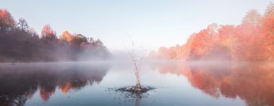 Les émotions de la foi