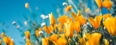 Nouveaux visages du ministère