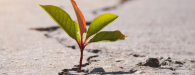 En Avent pour la justice climatique !