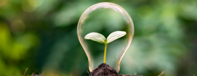 Solidarité énergétique, le grand défi !