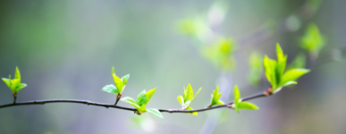 Message oecuménique de Pâques 2023