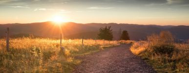 Les Parenthèses de Carême 2024