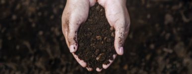 Retour sur Terres d&rsquo;Églises