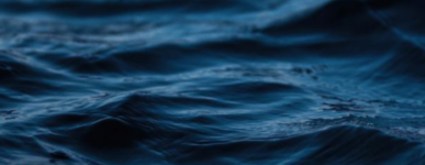 Rediffusion de la table-ronde : Humanité sans frontières