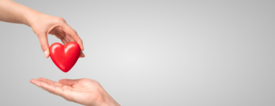 Solidarité Protestante : Urgence Kivu (RDC)