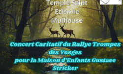concert-caritatif--28affiche-29