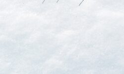 des-pas-sur-la-neige-282-29