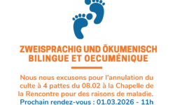 annulation-08.02---fr