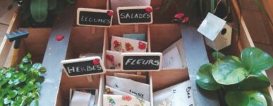 Appel aux dons de graines pour la grainothèque !