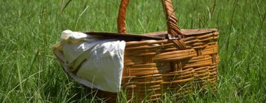 Pique-nique du vivre ensemble