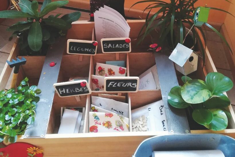 Appel aux dons de graines pour la grainothèque !