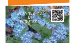 event journee d'automne